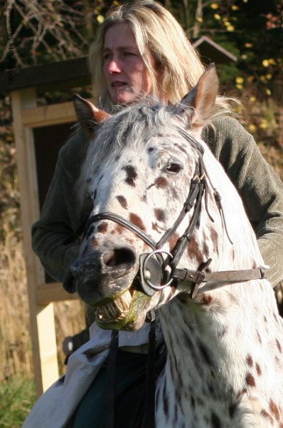 Haberskirchen 2008 030