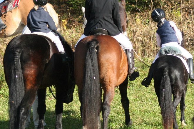 Haberskirchen 2008 031