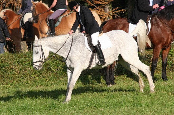Haberskirchen 2008 035