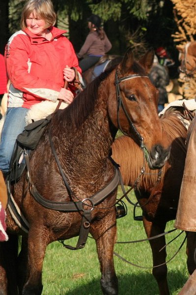 Haberskirchen 2008 037