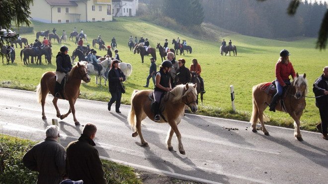 Haberskirchen 2008 041