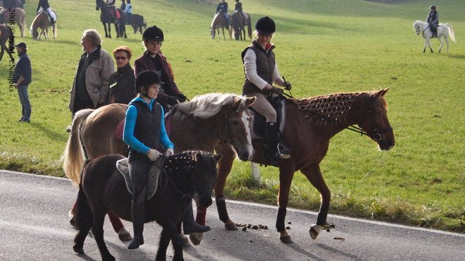 Haberskirchen 2008 042