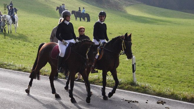 Haberskirchen 2008 046