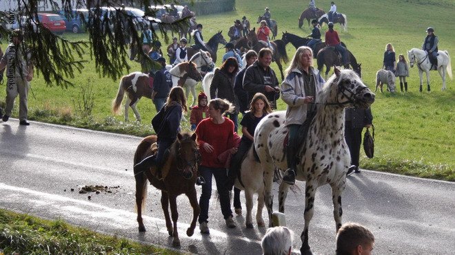 Haberskirchen 2008 047