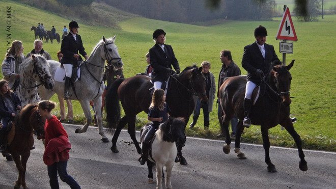 Haberskirchen 2008 050