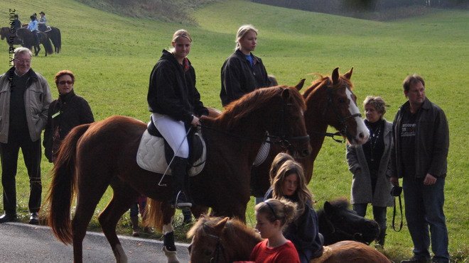 Haberskirchen 2008 053