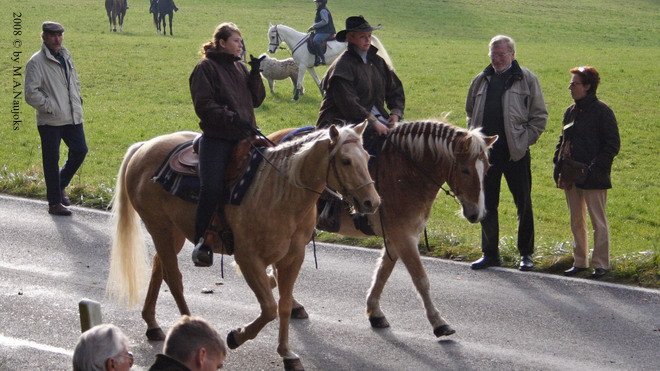 Haberskirchen 2008 061