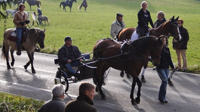 Haberskirchen 2008 062