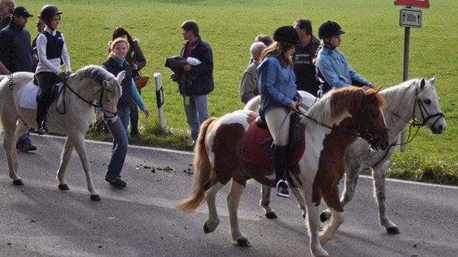 Haberskirchen 2008 064