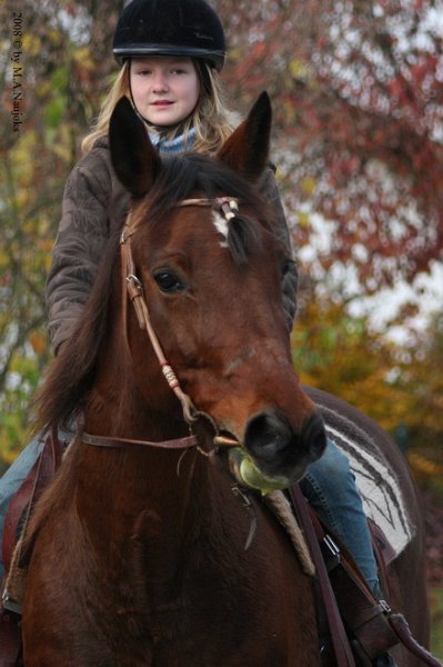 Haberskirchen 2008 094