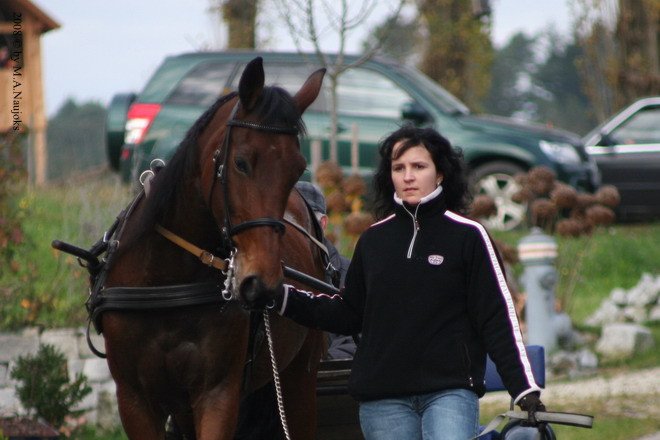 Haberskirchen 2008 099