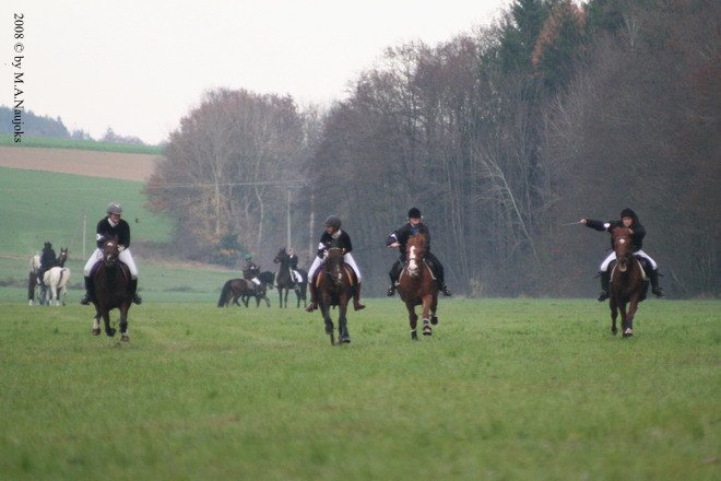 Haberskirchen 2008 115