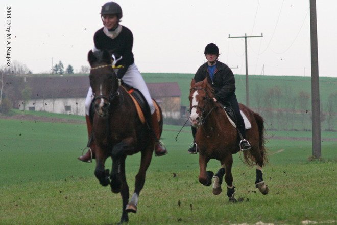 Haberskirchen 2008 118