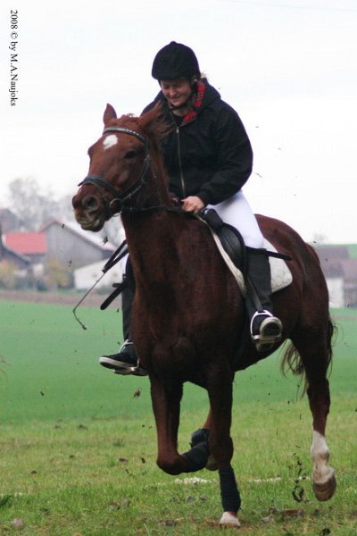 Haberskirchen 2008 119
