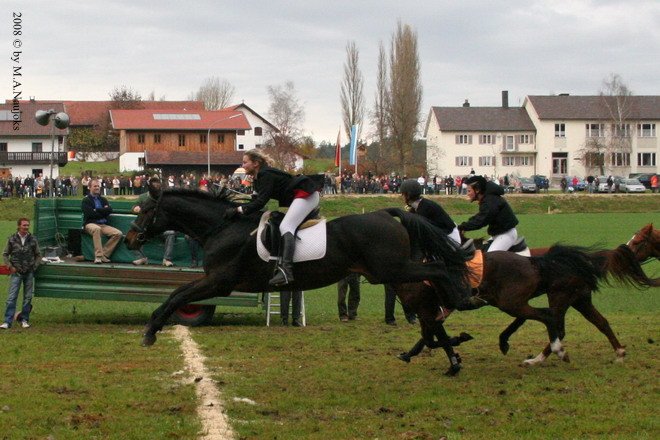 Haberskirchen 2008 133