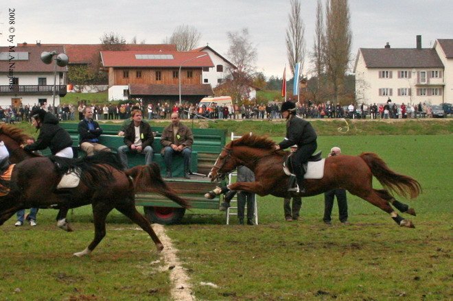 Haberskirchen 2008 135