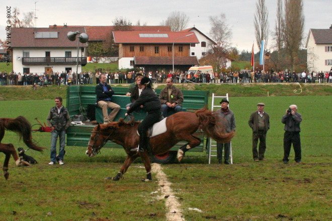 Haberskirchen 2008 136