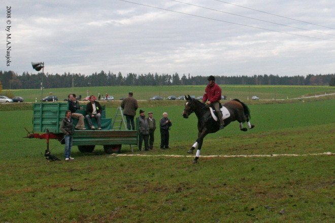 Haberskirchen 2008 137