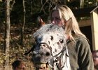 Haberskirchen 2008 029