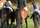 Haberskirchen 2008 031
