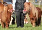 Haberskirchen 2008 033