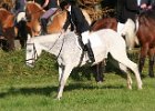 Haberskirchen 2008 035