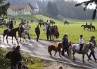 Haberskirchen 2008 039