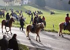 Haberskirchen 2008 041