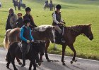 Haberskirchen 2008 042