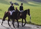 Haberskirchen 2008 046