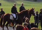 Haberskirchen 2008 053