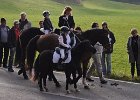 Haberskirchen 2008 055