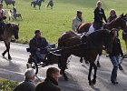 Haberskirchen 2008 062