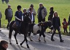 Haberskirchen 2008 063