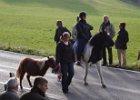 Haberskirchen 2008 065