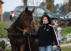 Haberskirchen 2008 099