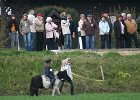 Haberskirchen 2008 123