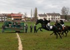 Haberskirchen 2008 132