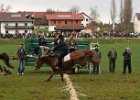 Haberskirchen 2008 136