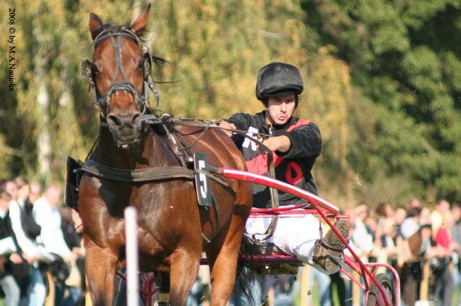 Dionysi Vilsbiburg 2008 Rennen 006