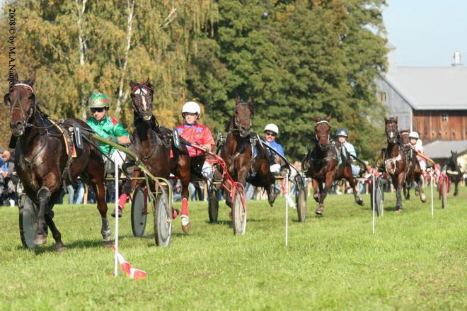 Dionysi Vilsbiburg 2008 Rennen 007