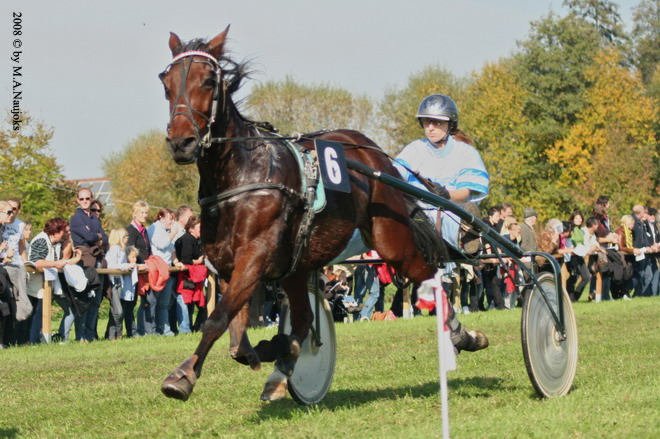 Dionysi Vilsbiburg 2008 Rennen 008
