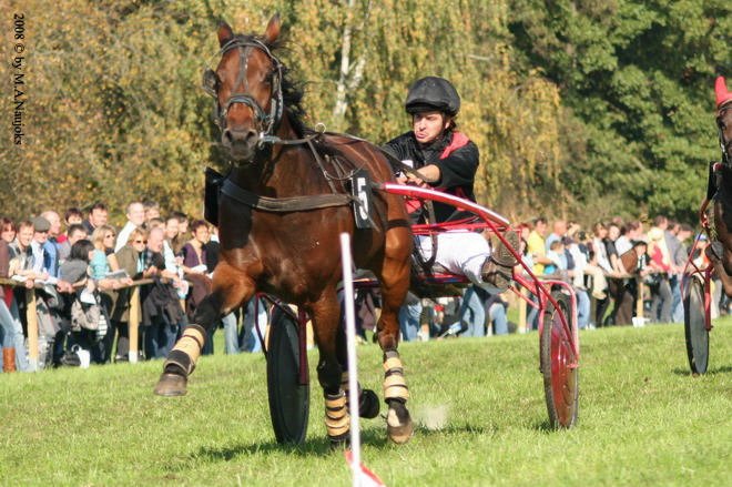 Dionysi Vilsbiburg 2008 Rennen 009