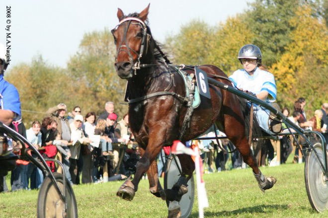 Dionysi Vilsbiburg 2008 Rennen 010