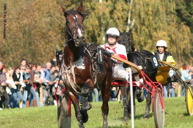 Dionysi Vilsbiburg 2008 Rennen 011
