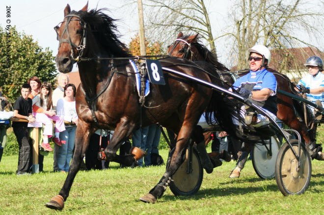 Dionysi Vilsbiburg 2008 Rennen 013