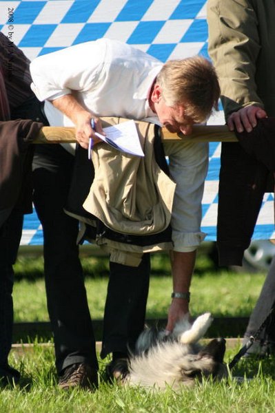 Dionysi Vilsbiburg 2008 Rennen 016