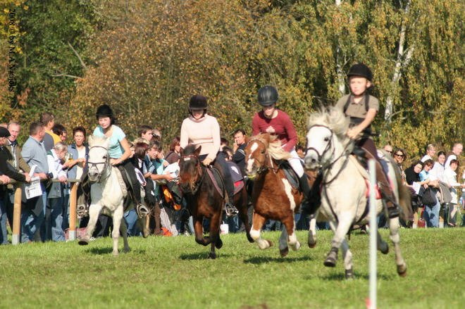 Dionysi Vilsbiburg 2008 Rennen 018