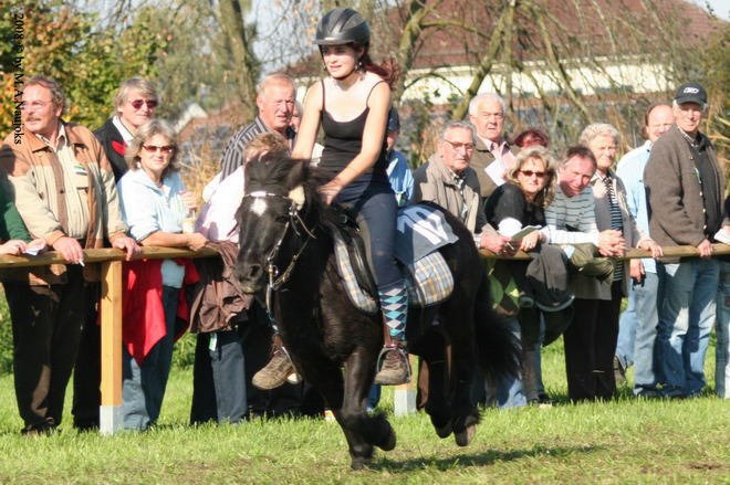 Dionysi Vilsbiburg 2008 Rennen 020