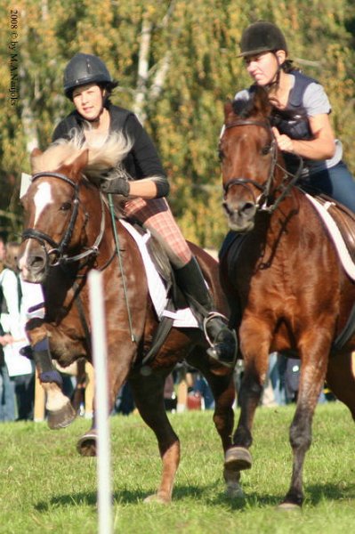 Dionysi Vilsbiburg 2008 Rennen 023